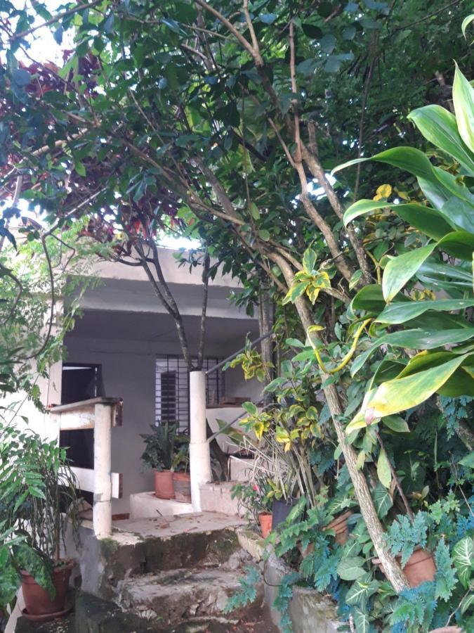 圣安娜Au Jardin Fleuri公寓 外观 照片
